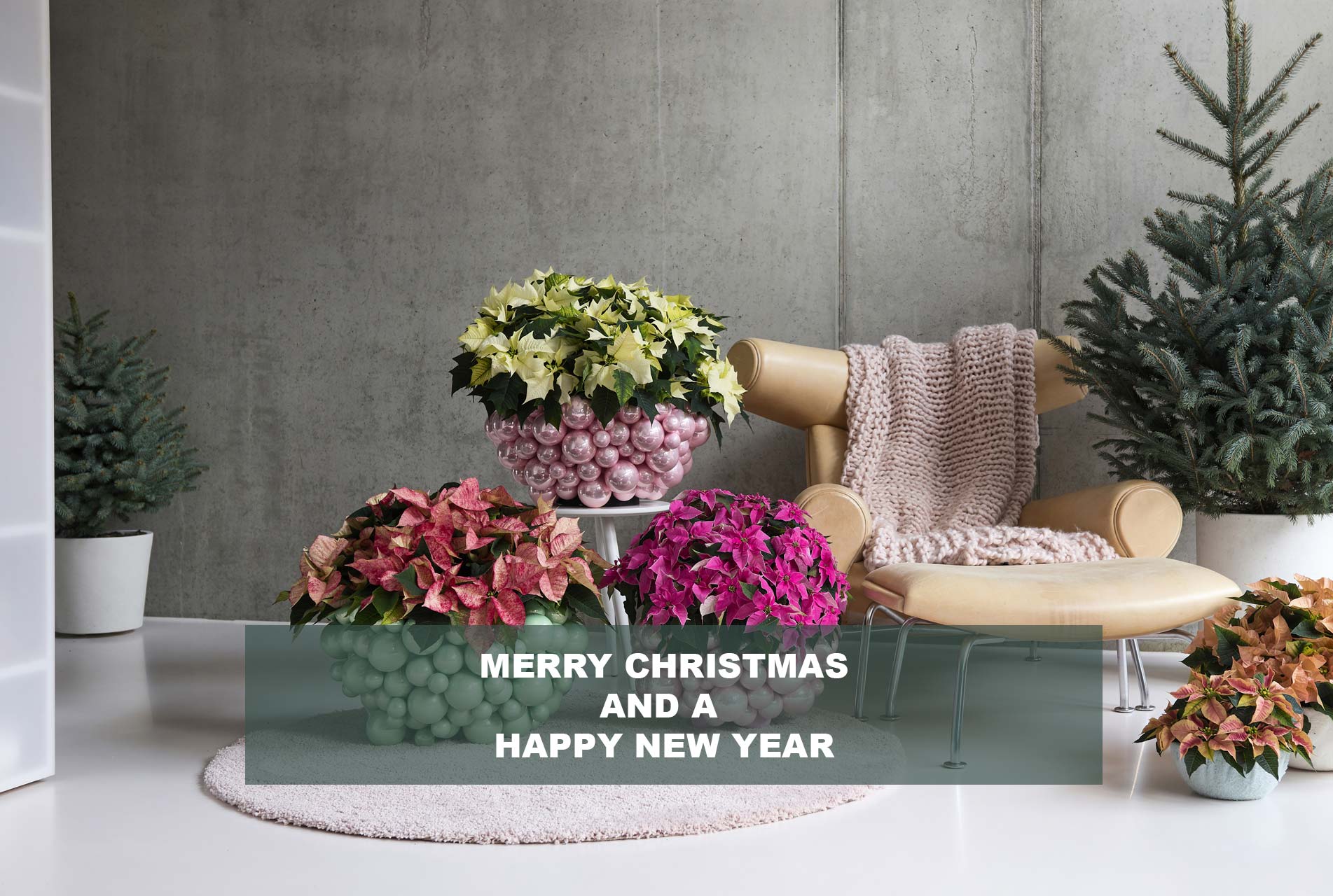 christmas-banner