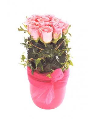 Caspo with pink roses  