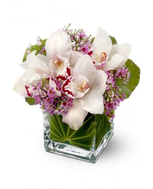 Glass cube with orchids