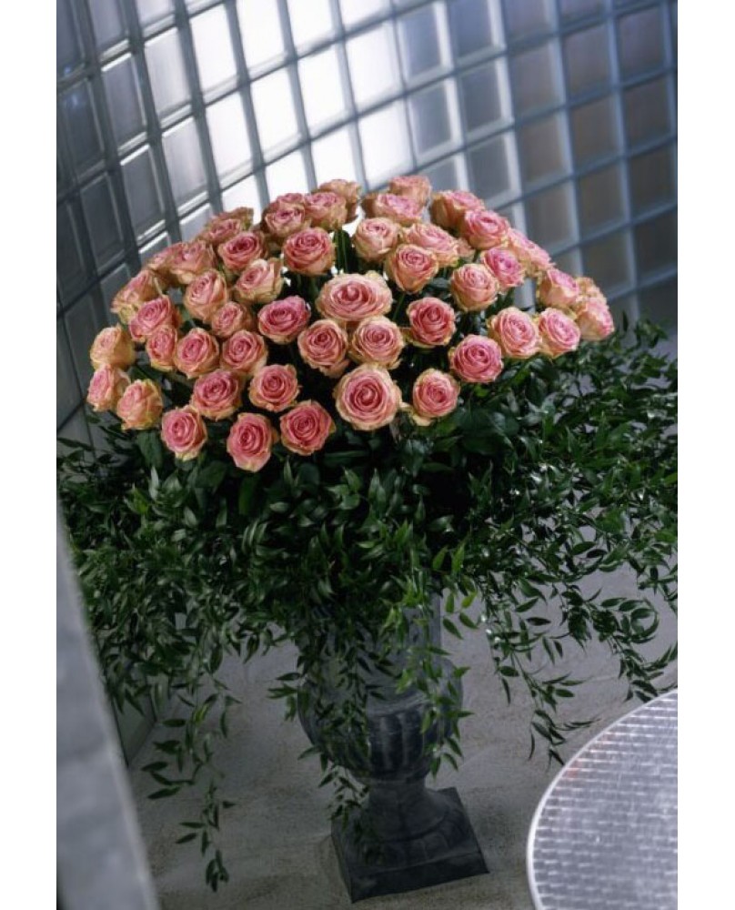 Αμφορέας με 100 ροζ τριαντάφυλλα